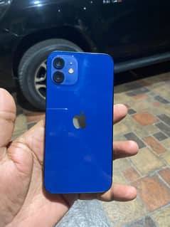 Iphone 12 PTA brand new