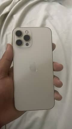 iPhone 12 Pro Max PTA Approved