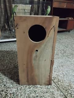 Green parrot Breeding Box