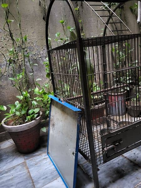 tame parrot cage 2