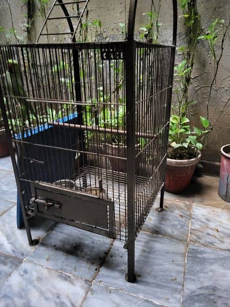 tame parrot cage 5