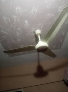 ceiling fan