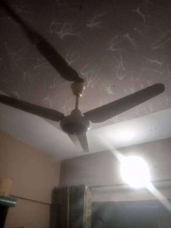 ceiling fan 1