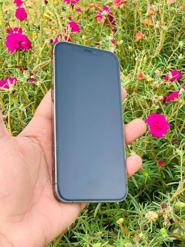 Iphone 12 Pro (256gb) BH 85% 1