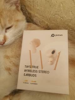 Picun W1 Earbud