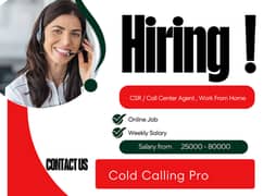 CSR / Call Center Agent , Work From Home