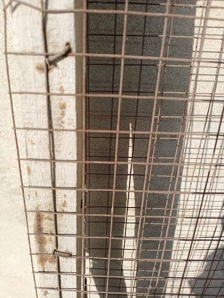 cage or frames for sale 03006364546 Whatsapp 5