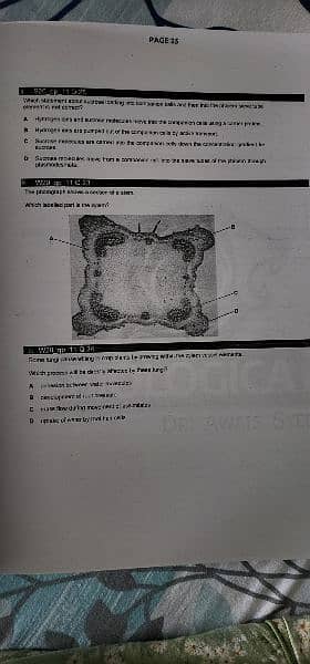 As Levels Biology Notes with practice questions 4