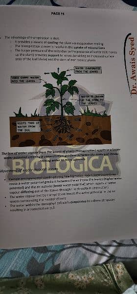 As Levels Biology Notes with practice questions 6