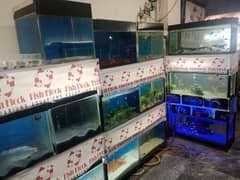 Fish Aquarium colonies