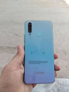 VIVO