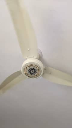 Almost New 2 year warranty motor Copper Ceiling fan famous