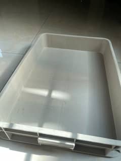 Holesale rate 100 tray available in very good quality  1 tray Rs 700