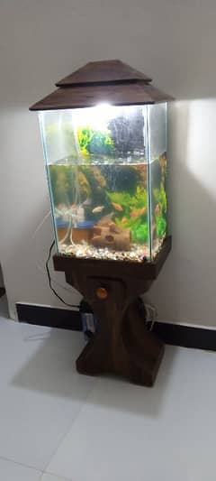 fish aquarium for sell