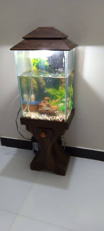 fish aquarium for sell 1