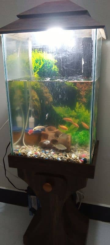 fish aquarium for sell 2