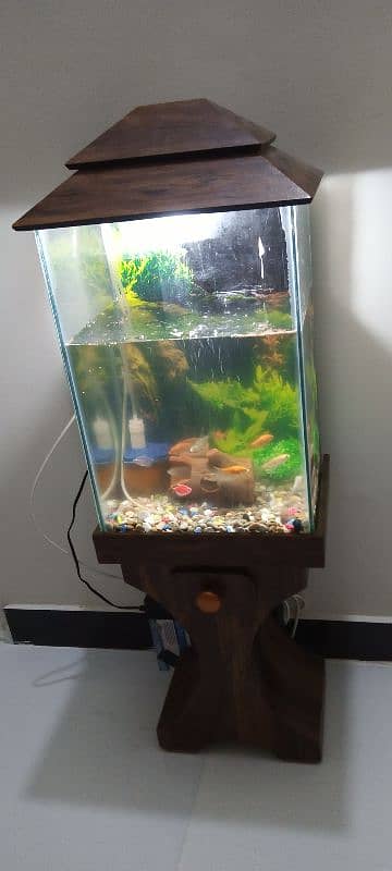 fish aquarium for sell 3