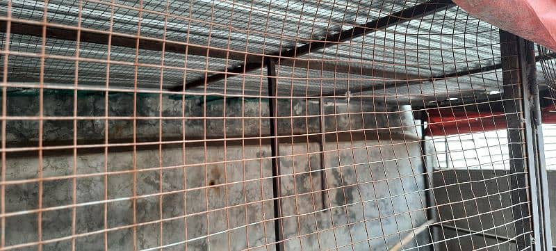 Iron heavey Quality cage 2