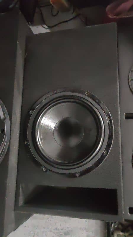 MS 10 inch subwoofer 1