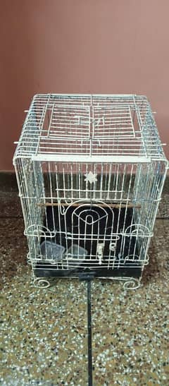 grey parrot ka cage hai original