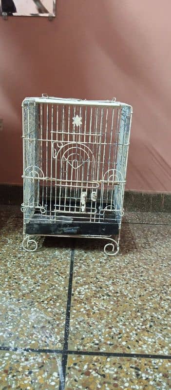 grey parrot ka cage hai original 1