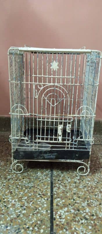 grey parrot ka cage hai original 2