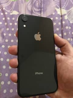 iPhone XR