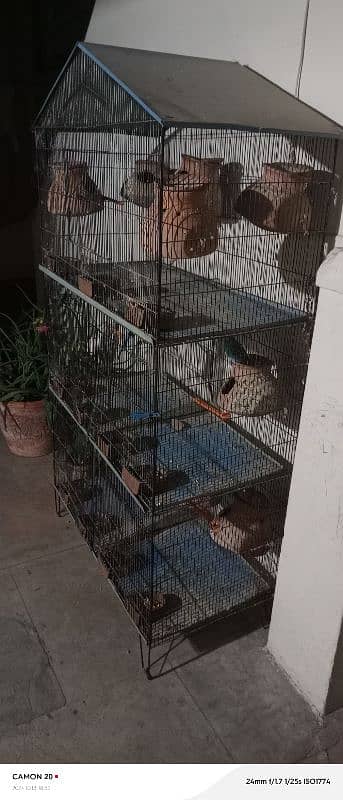 5 portion cage for sell 1