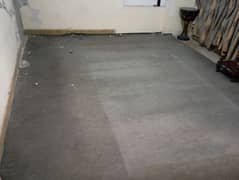 Grey carpet