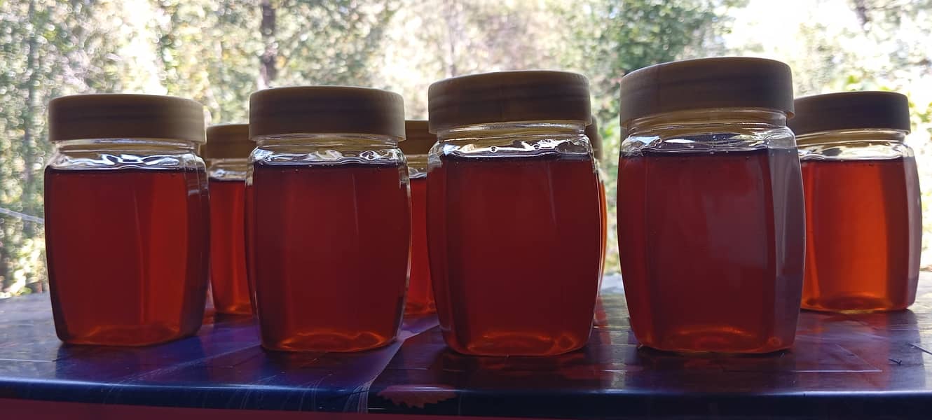 100% Pure Fresh Honey in Trarkhel, Azad Kashmir @ Lahore Market price 2