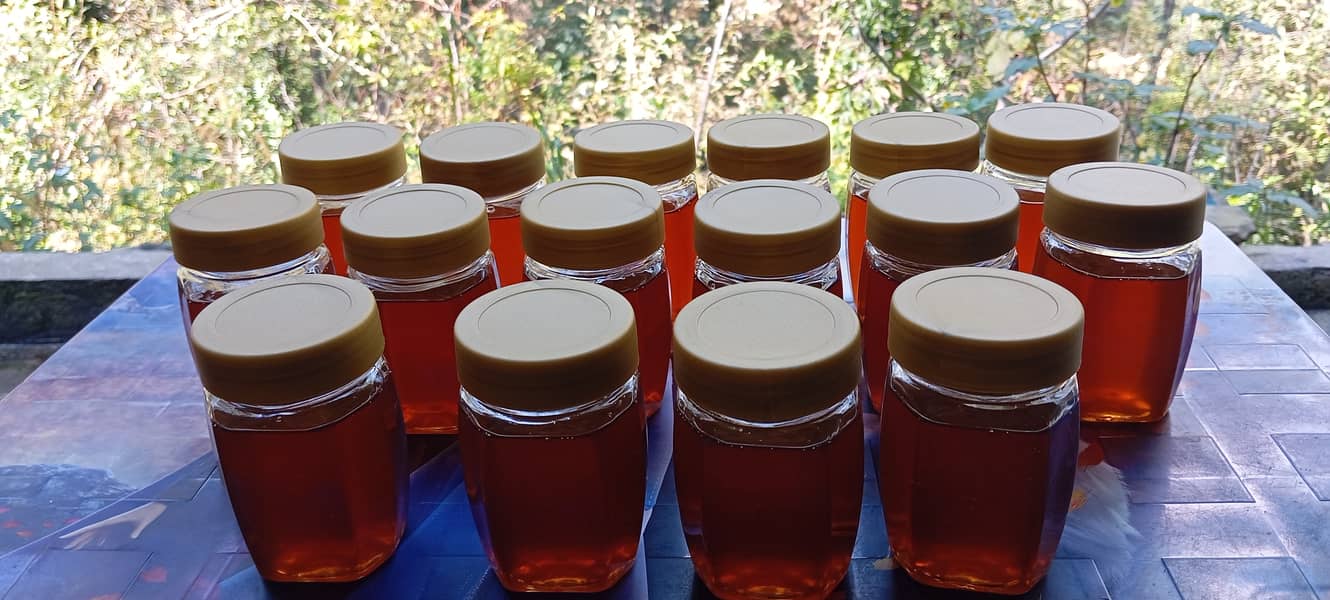 100% Pure Fresh Honey in Trarkhel, Azad Kashmir @ Lahore Market price 12