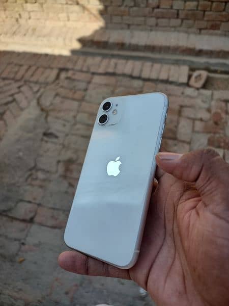 Iphone 11 Dual pycical 11