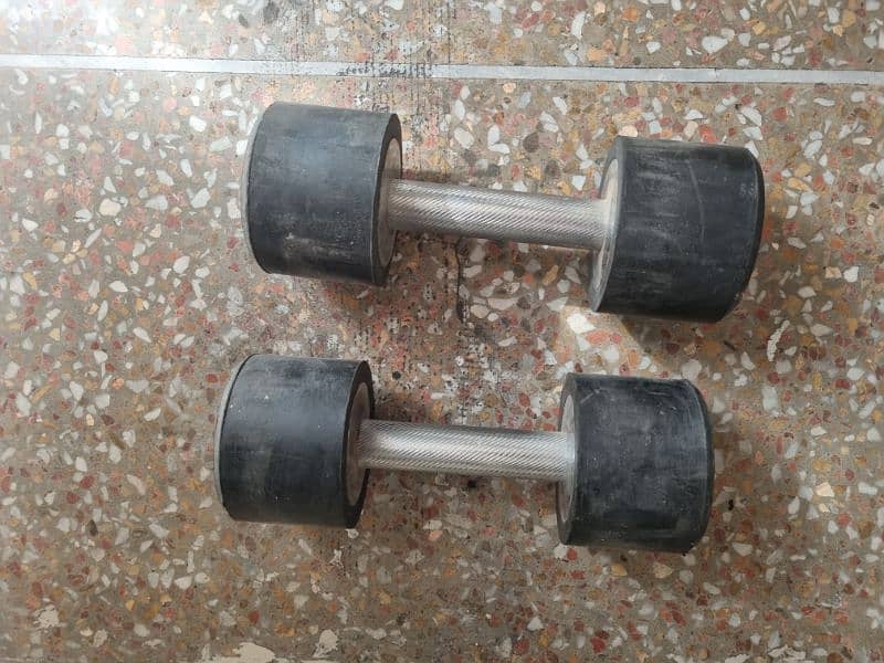 Dumble 6 kg for sale 1