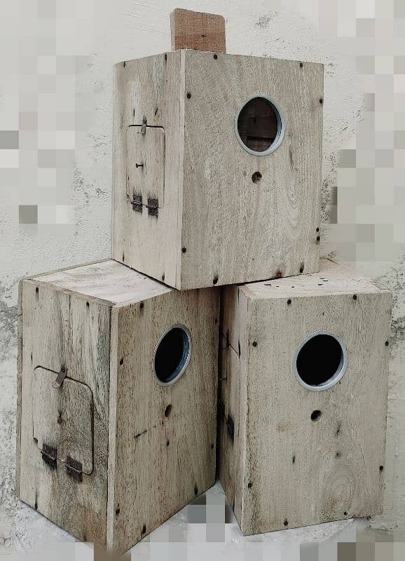 lovebirds boxes for sale 0