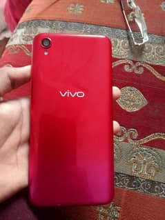 Vivo