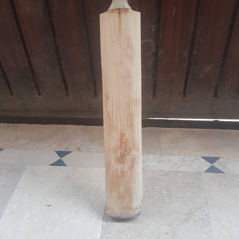 Hard ball bat 4