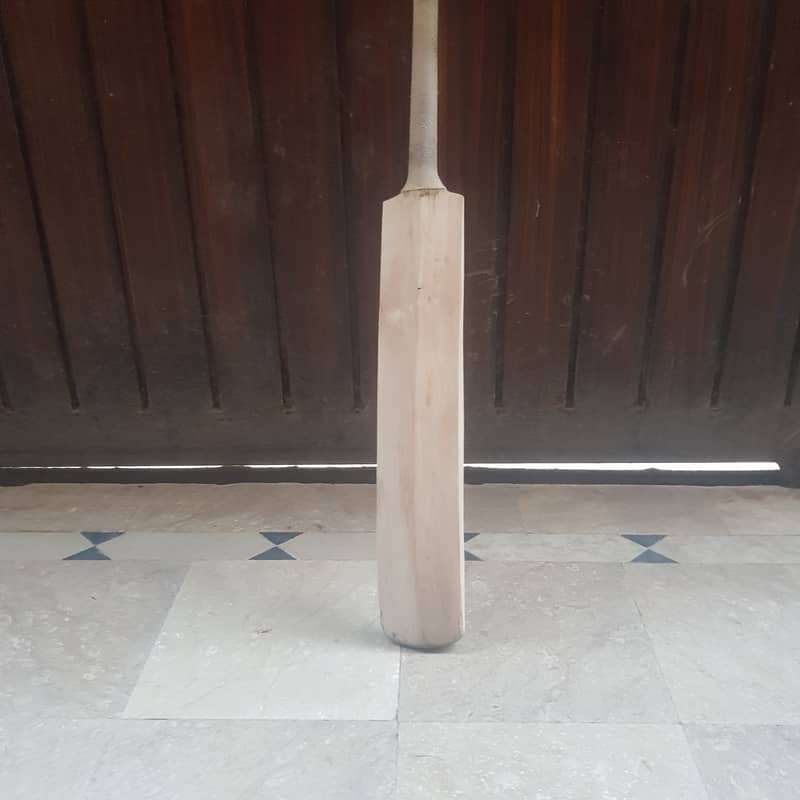 Hard ball bat 5