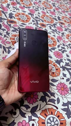 Vivo