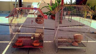 Birds Cage for Sale