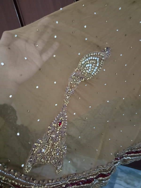 bridal lehnga with long gaon 9