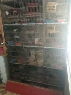 ***SALE*** 12 portion Cage (1.25 x 1.25) with complete accessories