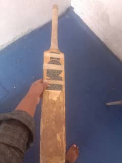 hardball bat