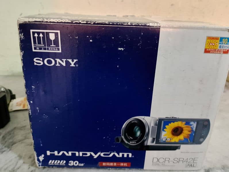 Sony DCR-SR42E 3