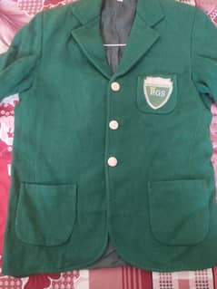 school coat color green