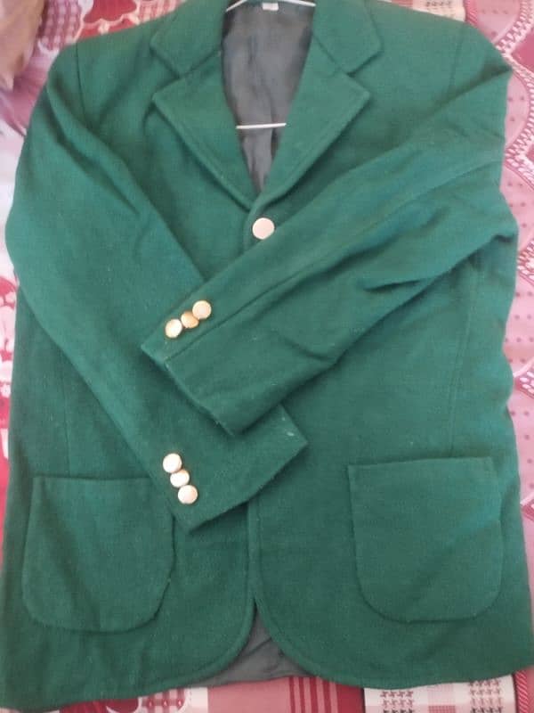 school coat color green 2