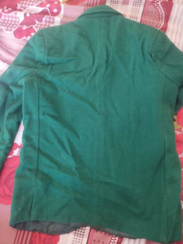 school coat color green 3