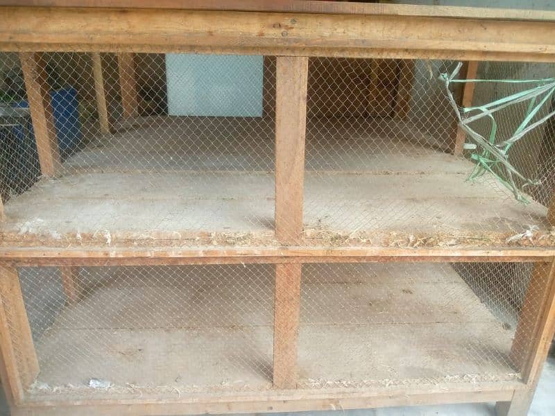 hen Cage 1