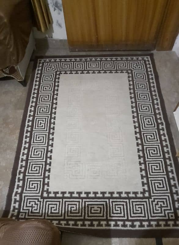 Beautiful Rug 1