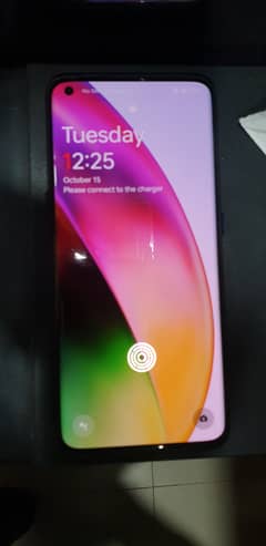 one plus 10 pro non pta