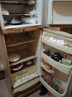 PEL. Refrigerator with original compressor.